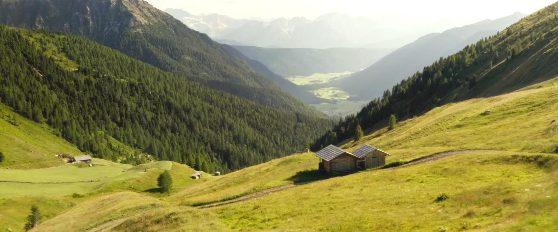 Two alpine huts on a sunny mountain meadow overlooking the green Casies Valley.
