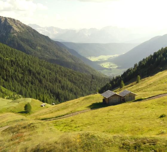 Due baite alpine su un prato soleggiato con vista sulla verde Val Casies.