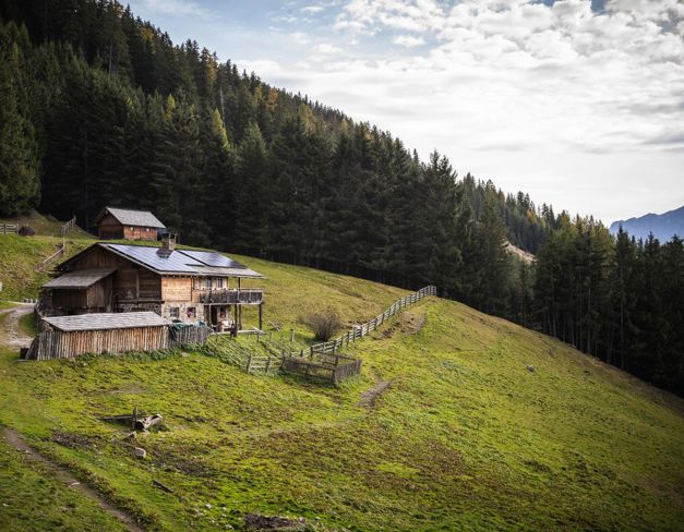 003-tgw-hochraut-web-silbersalz