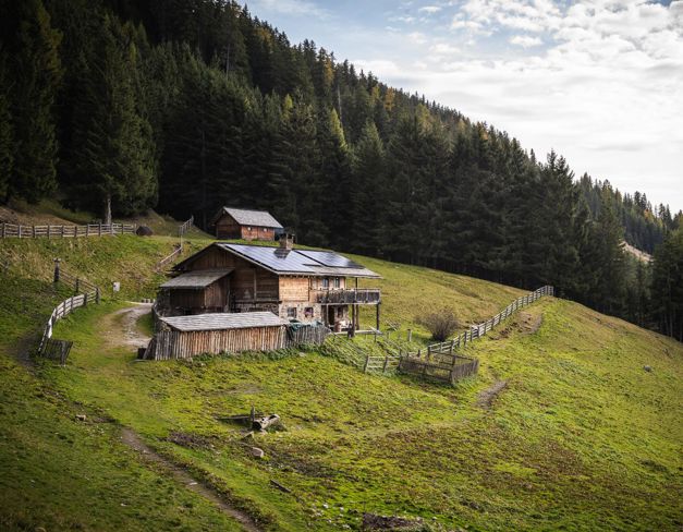 003-tgw-hochraut-web-silbersalz