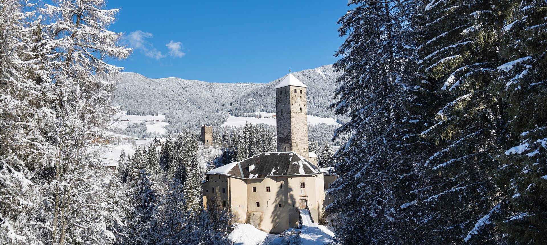 schloss-welsperg-ghr2496-tv-gsieser-tal-georg-hofer