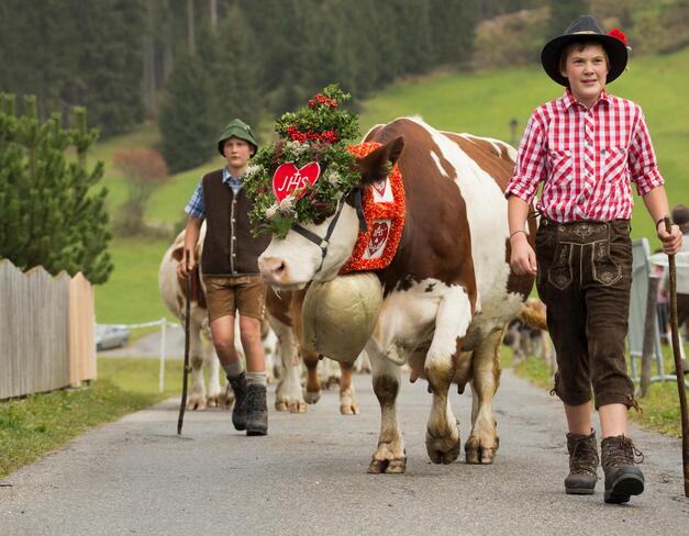 obotola-kirschta-tg-gsiesertal-elke-lessnig-57