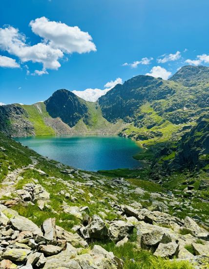 A mountain lake in summer