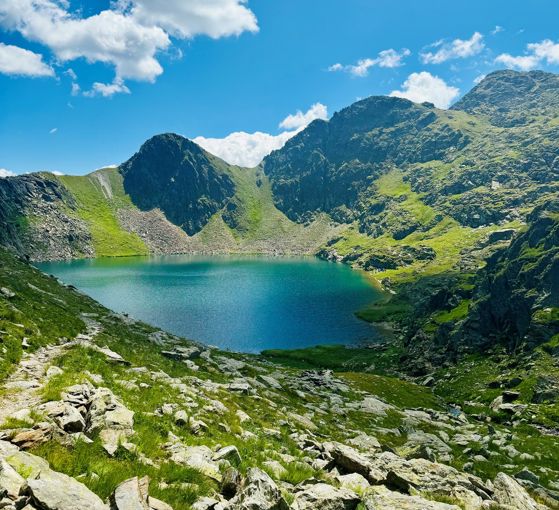 A mountain lake in summer