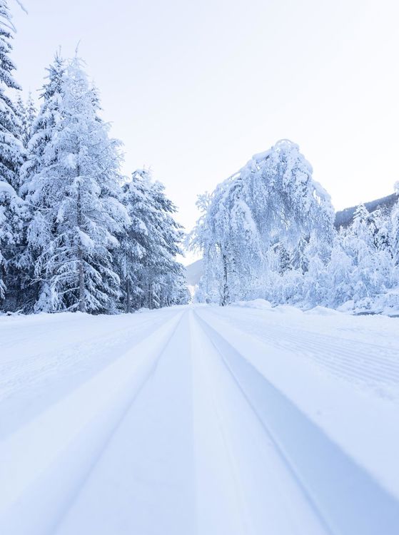 Una pista da sci di fondo in Val Casies