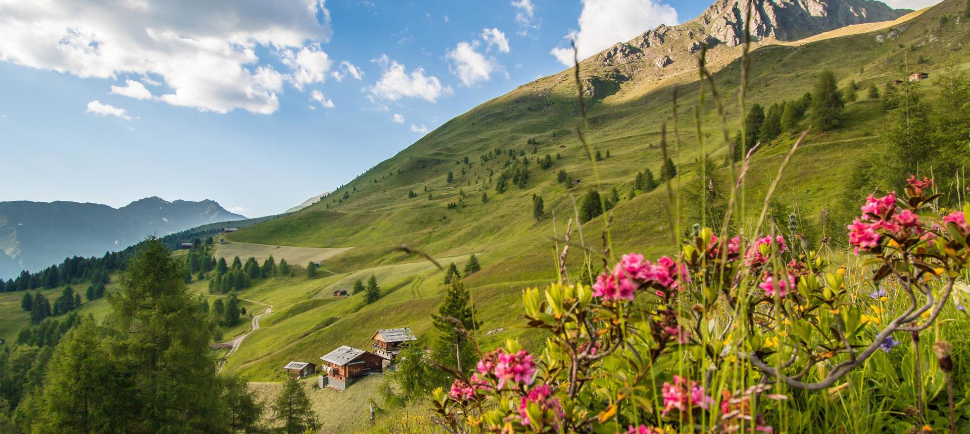 Estate in Val Casies