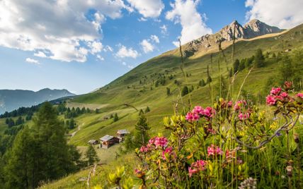 Summer in Val Casies/Gsiesertal valley