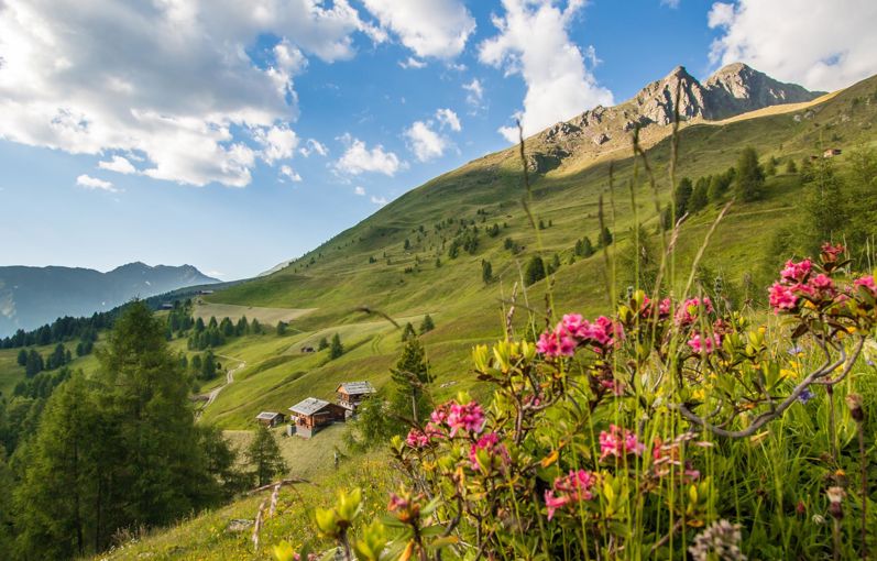 Estate in Val Casies