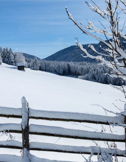 Inverno