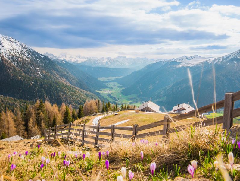 Panorama primaverile