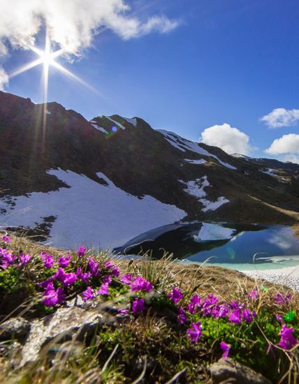 Spring in the mountains