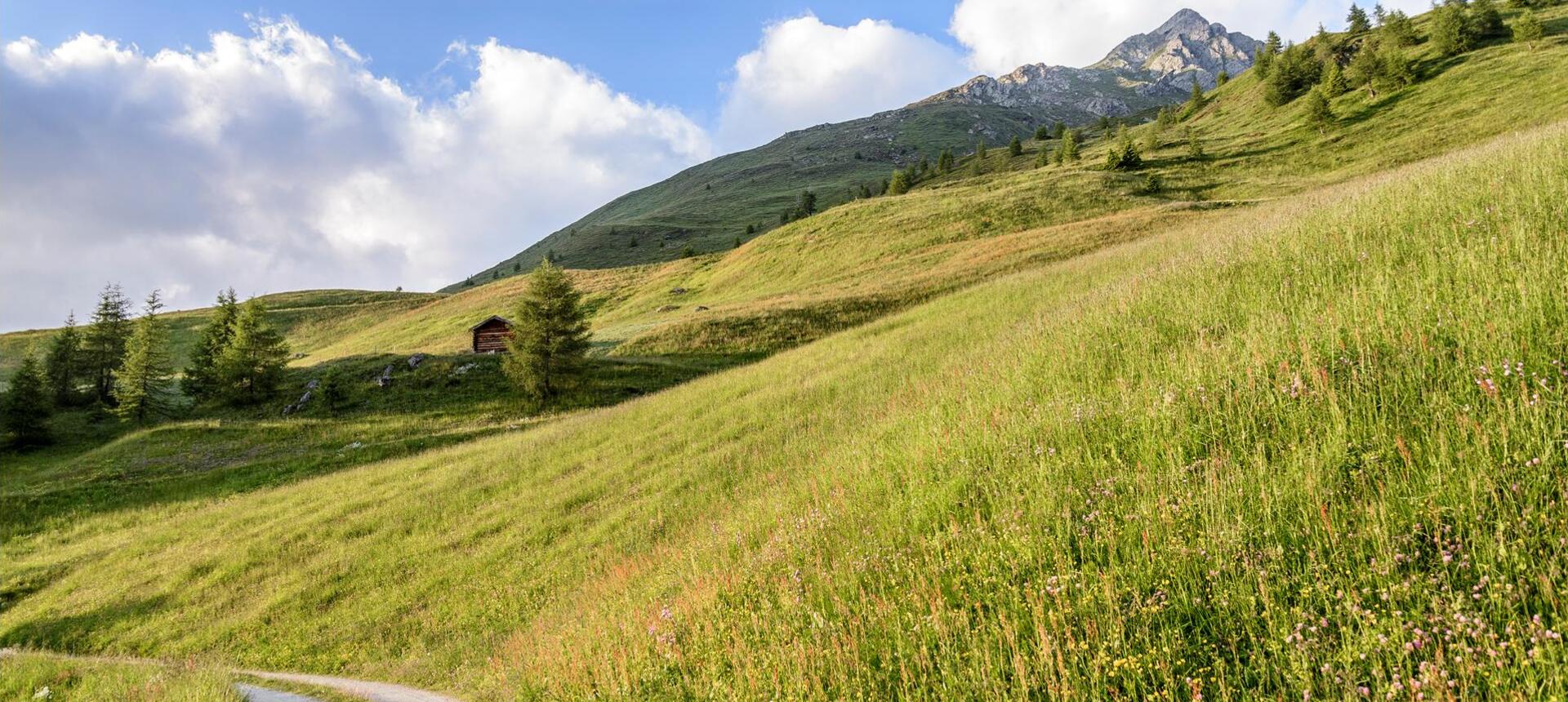 almlandschaft-gsies-tv-gsieser-tal-georg-hofer-14