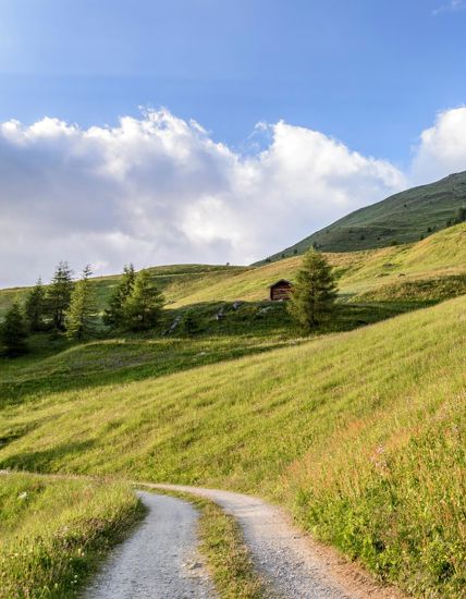 Summer on the mountain pasture