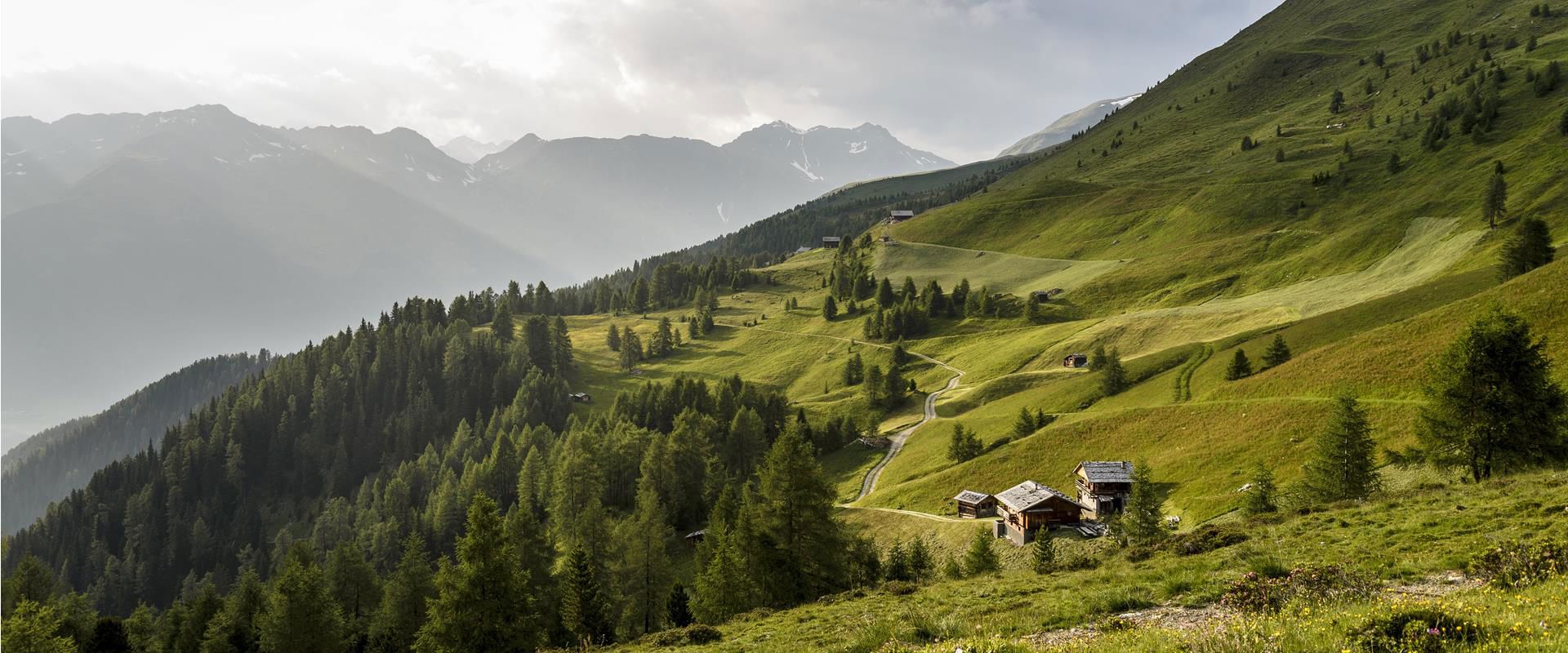 Sonnige Almlandschaft mit verstreuten Hütten, Wäldern und Bergkulisse unter teils bewölktem Himmel.
