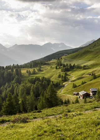 almlandschaft-gsies-tv-gsieser-tal-georg-hofer-25-1