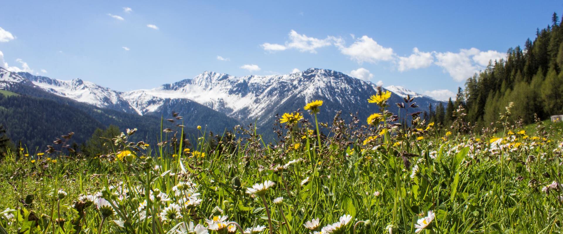 fruehling-tg-gsiesertal-kamilla-photography-4