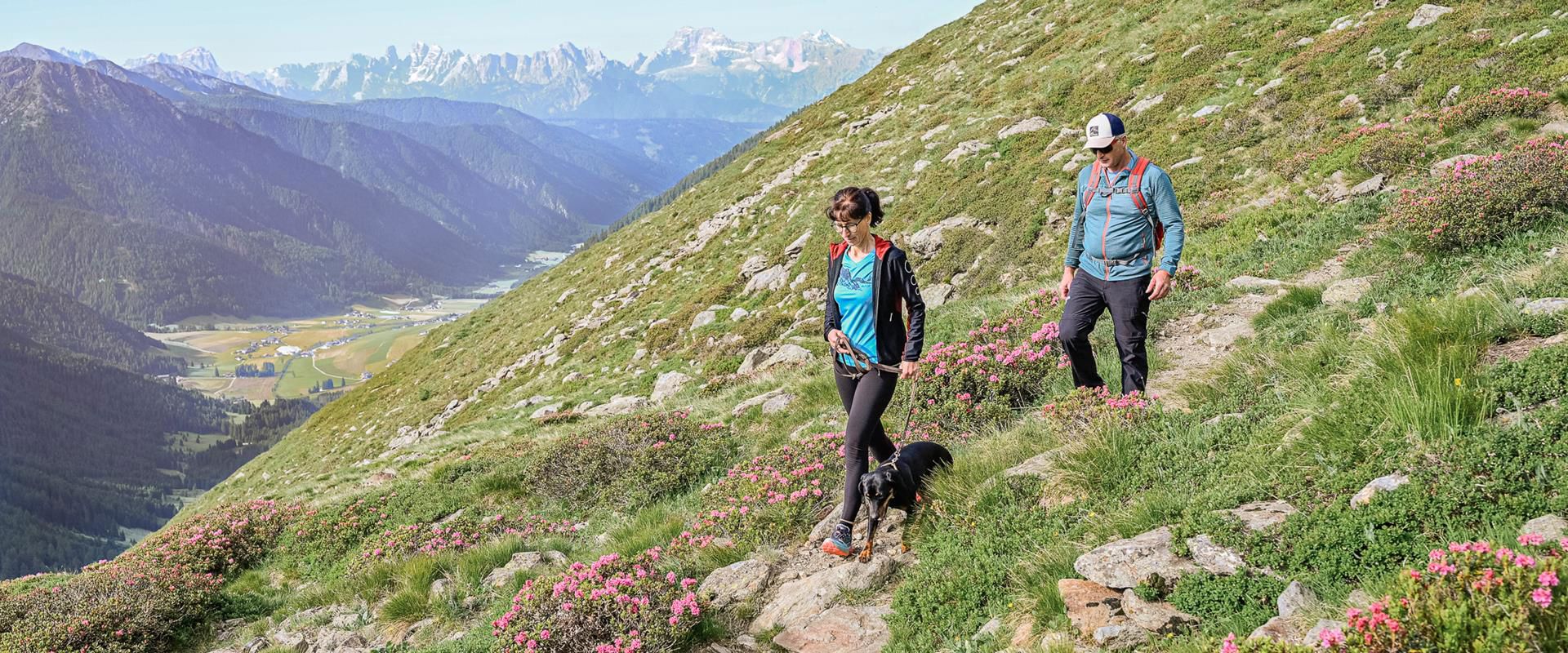 -wisthaler-25-06-tv-gsies-hw64113