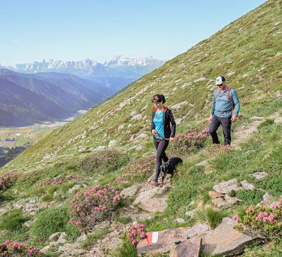 -wisthaler-25-06-tv-gsies-hw64113