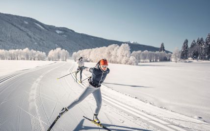 Two cross-country skiers
