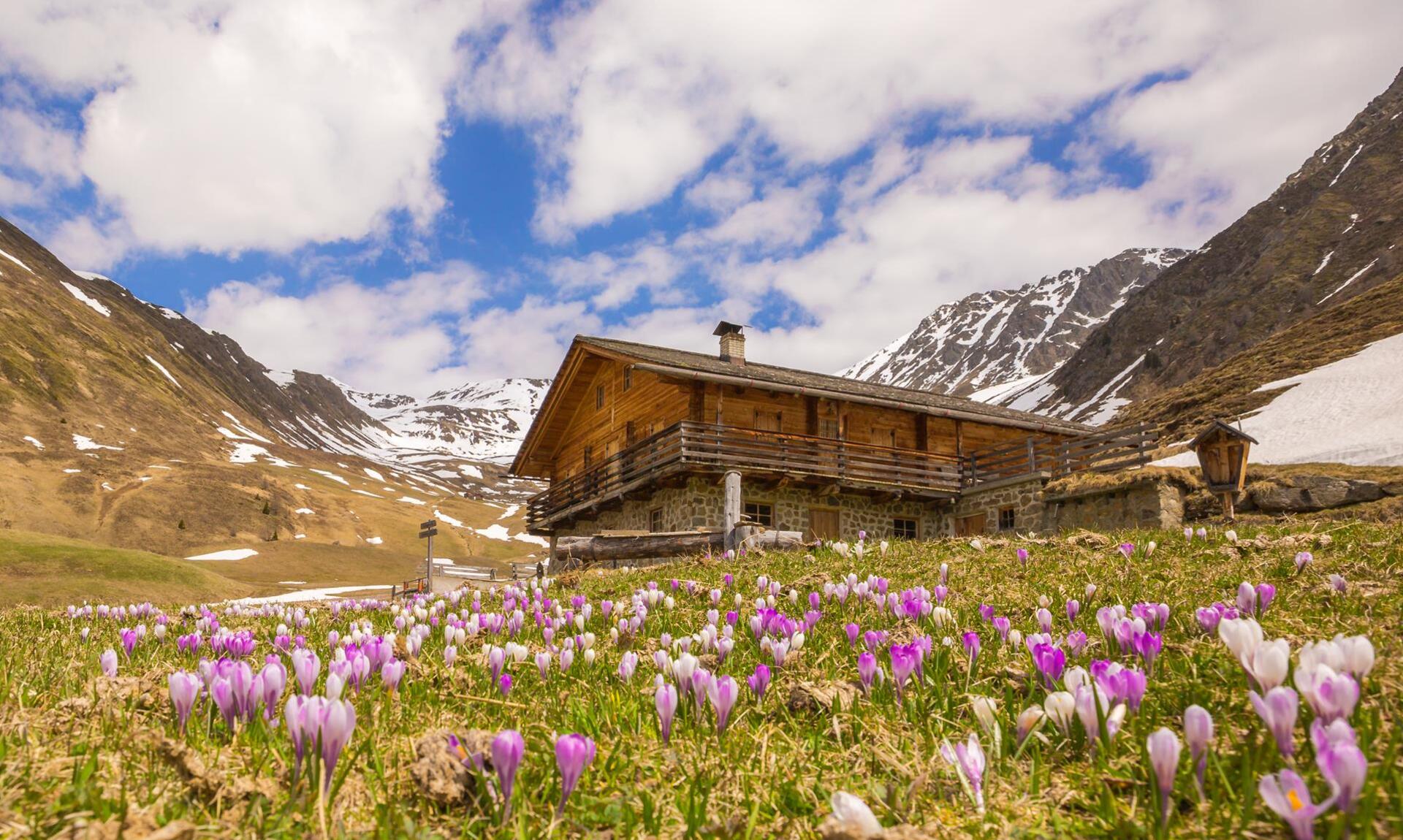 fruehling-tg-gsiesertal-kamilla-photography-3