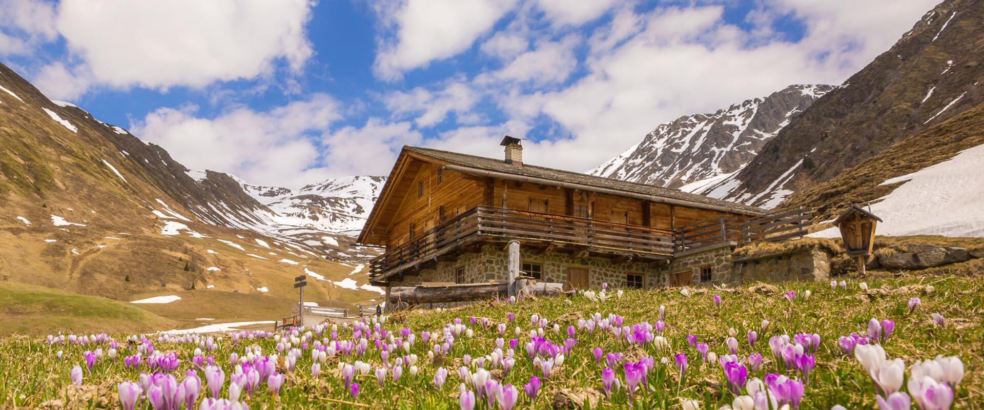 fruehling-tg-gsiesertal-kamilla-photography-3