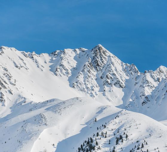 -wisthaler-com-18-01-tv-welsberg-gsies-winter-haw-6791